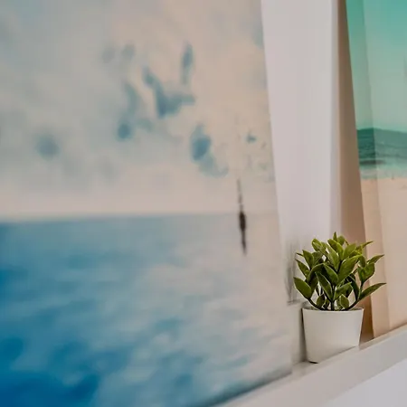 Apartamento Stylish&central Flat - *