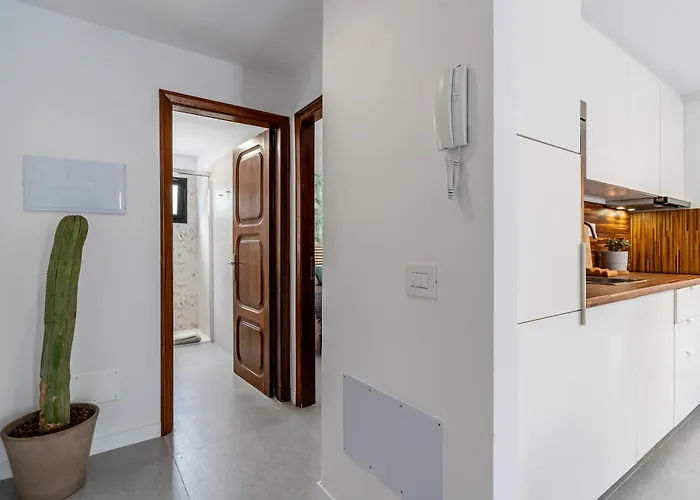 Stylish And Flat - Daire Puerto de la Cruz (Tenerife)