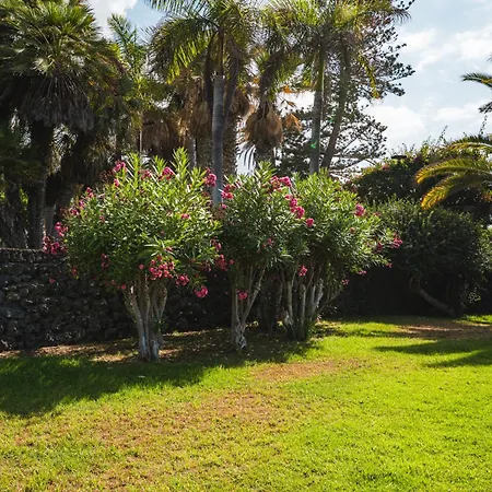 Stylish And Flat - Puerto de la Cruz (Tenerife)